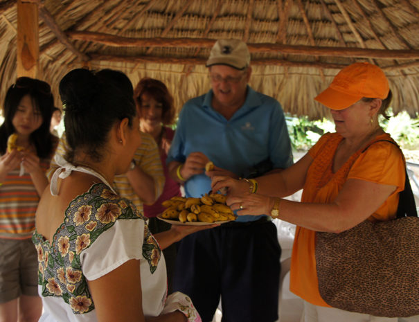 food sampling Mayan Experience